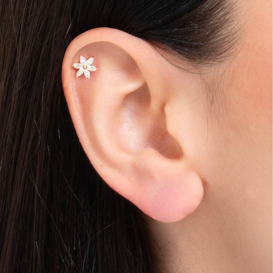 Piercing orecchio Luca Barra